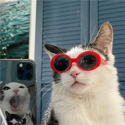 جاوید میانڈاد avatar