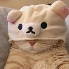 سناء میر avatar